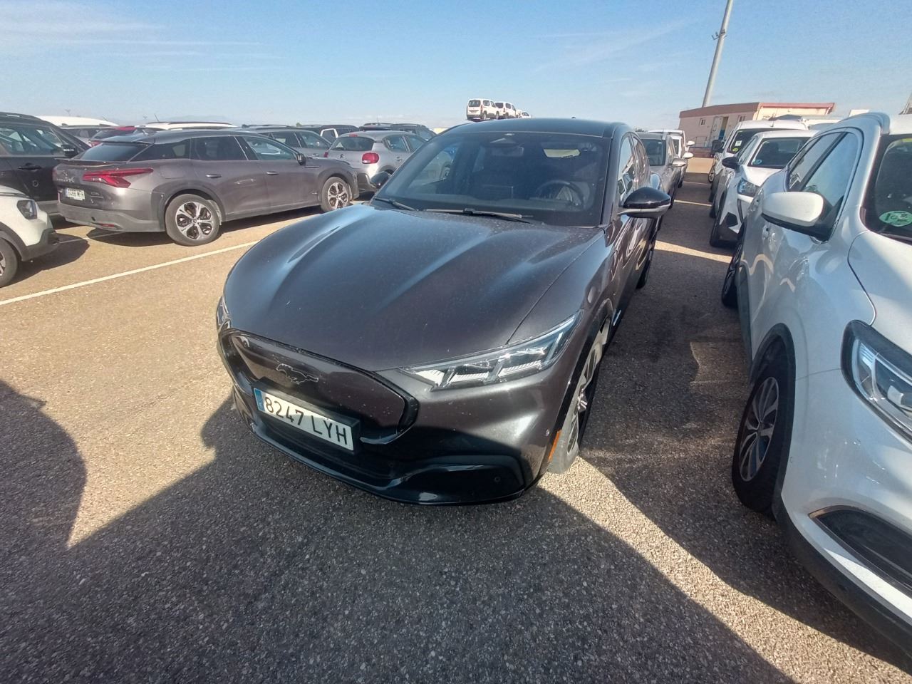 Renting Segunda Mano Ford Mustang Mach-EAWD 198kW Batería 75.7Kwh 
