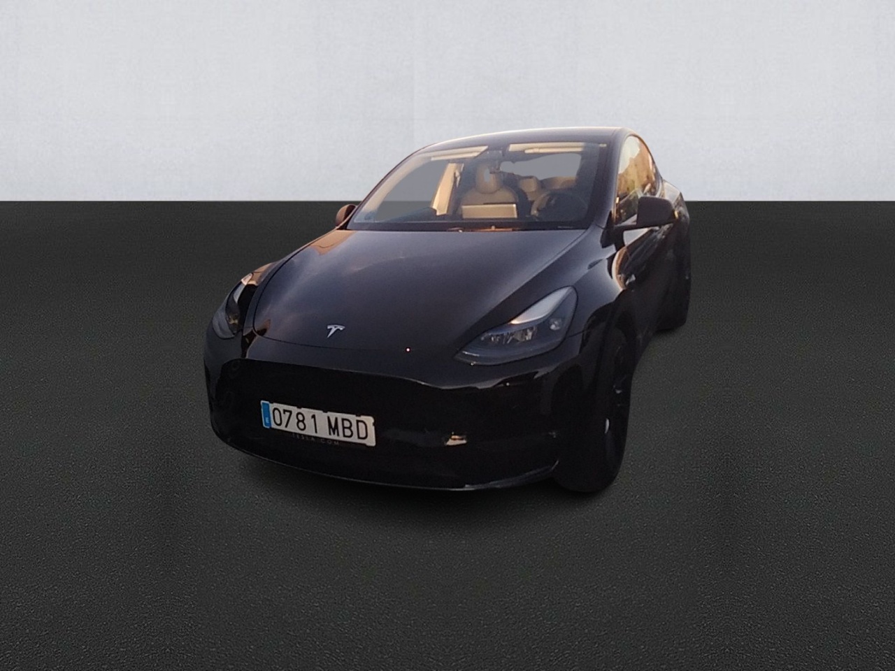imagen TESLA MODEL Y Gran Autonomía 4WD-39