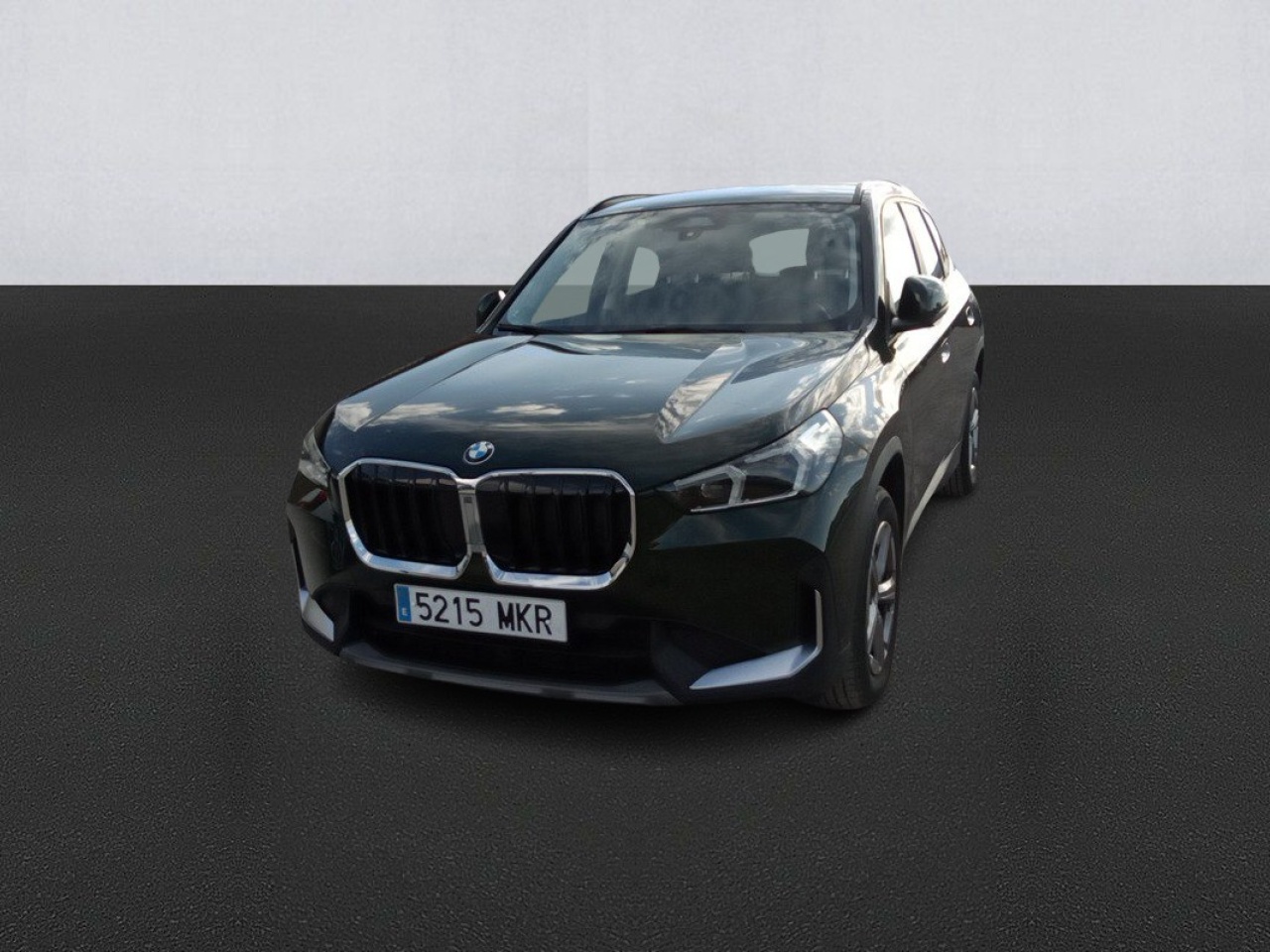 imagen BMW X1 sDrive18d-39